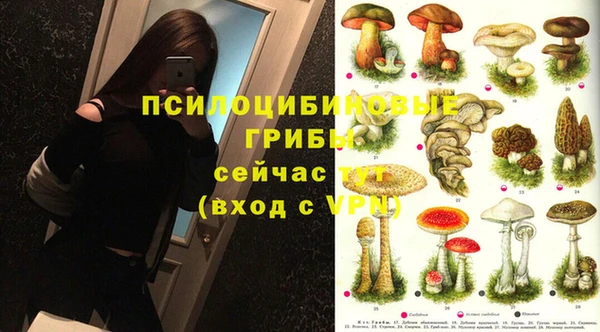тгк Аркадак