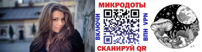Галлюциногенные грибы Psilocybine cubensis  Моршанск 
